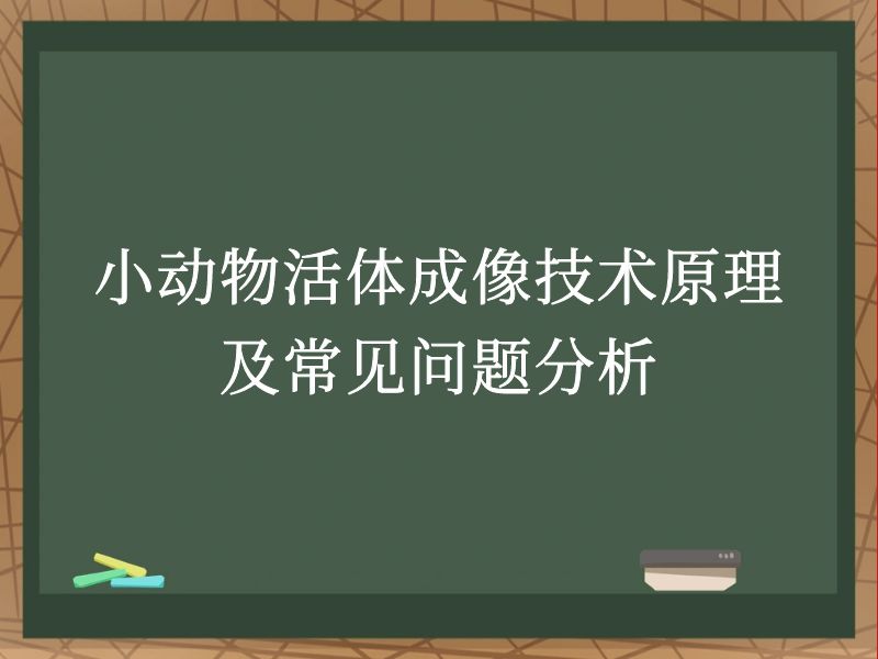 小动物活体成像技术原理及常见问题分析